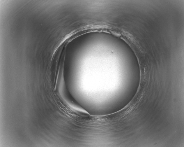 X0000055991165200509162244