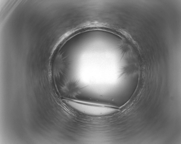 X0000055991167200509162244