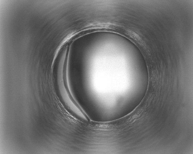 X0000055991172200509162244