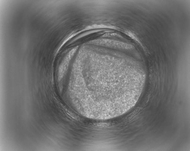 X0000055991173200509162244