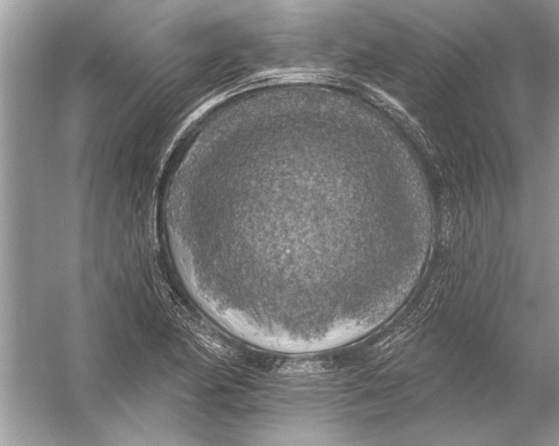 X0000055991174200509162244