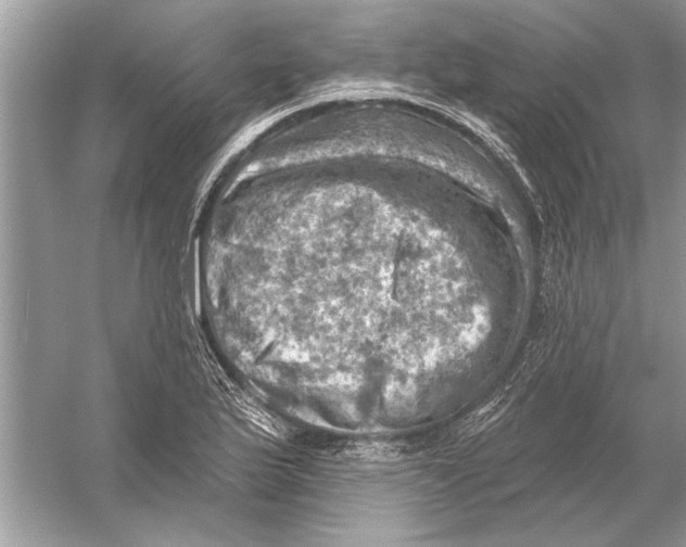 X0000055991175200509162244