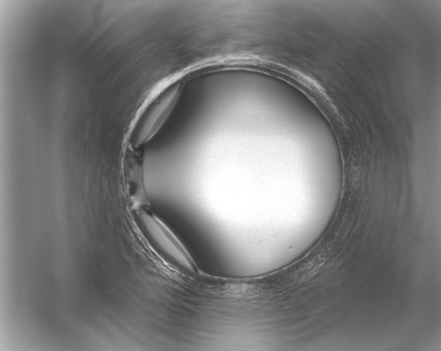 X0000055991176200509162244