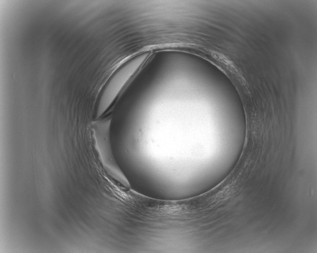 X0000055991177200509162244