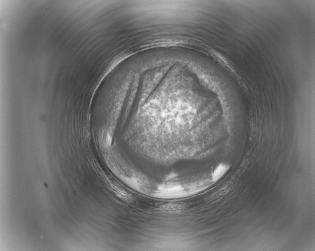 X0000055991178200509162244