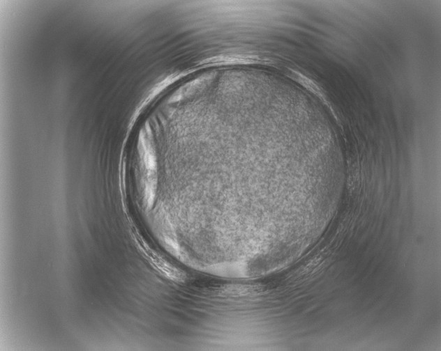 X0000055991179200509162244