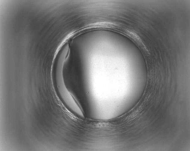 X0000055991180200509162244