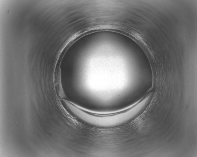 X0000055991181200509162243