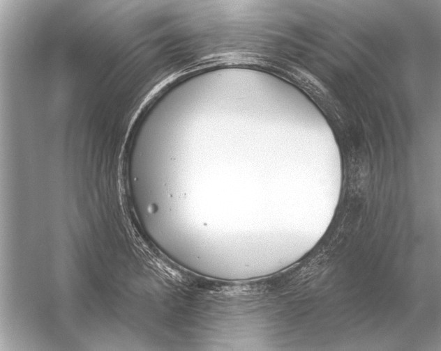 X0000055991182200509162243