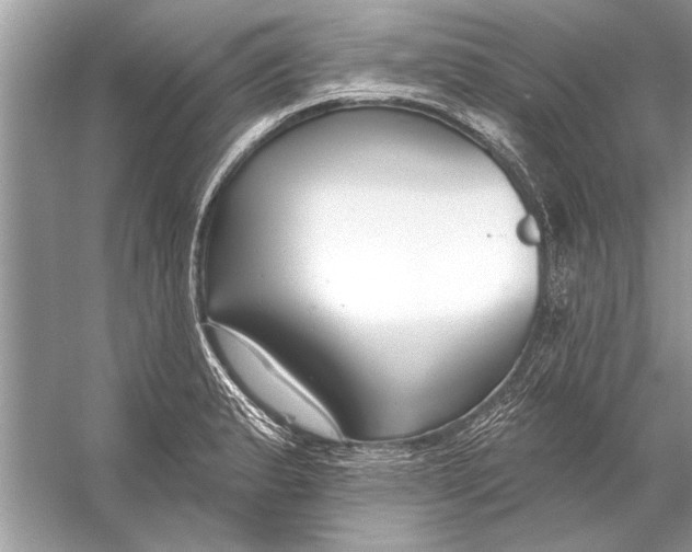 X0000055991183200509162243