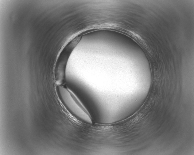 X0000055991184200509162243