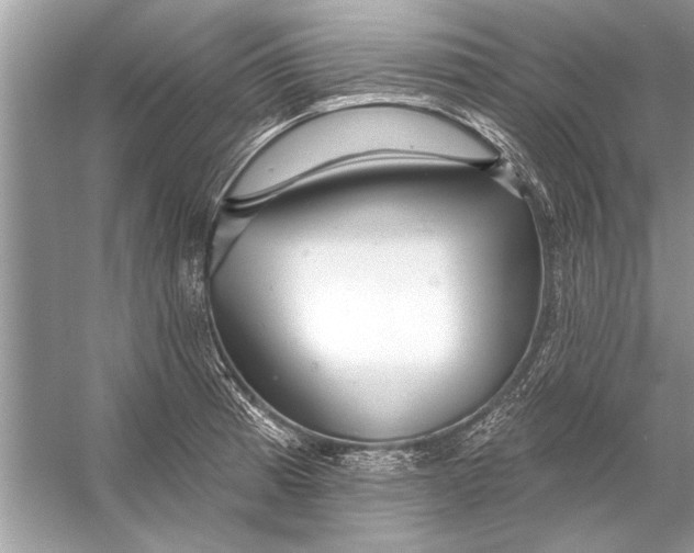 X0000055991185200509162243