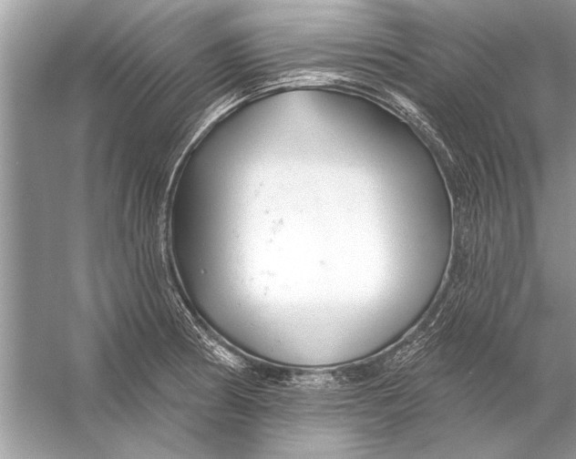 X0000055991186200509162243