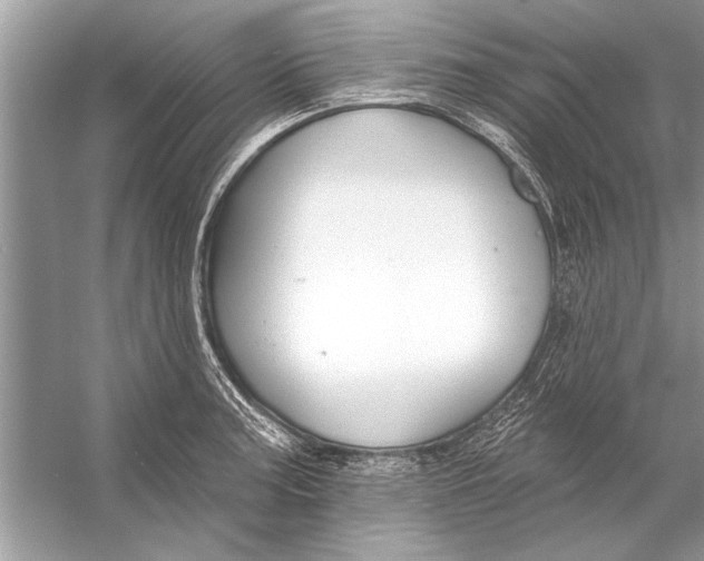 X0000055991187200509162243