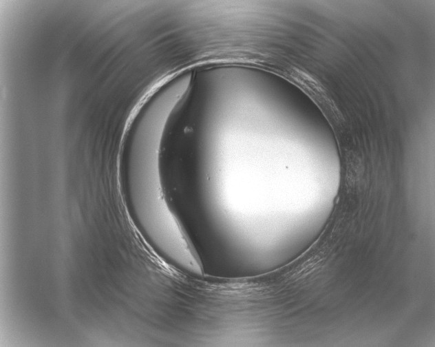 X0000055991188200509162243