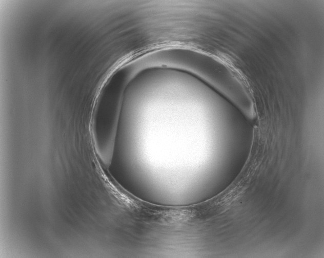 X0000055991189200509162243