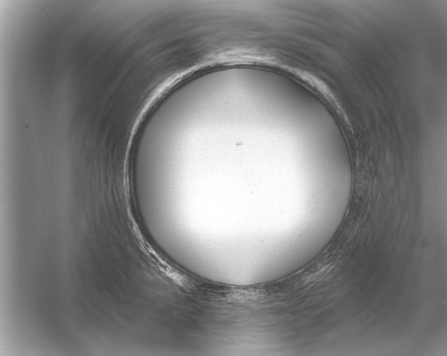 X0000055991191200509162243