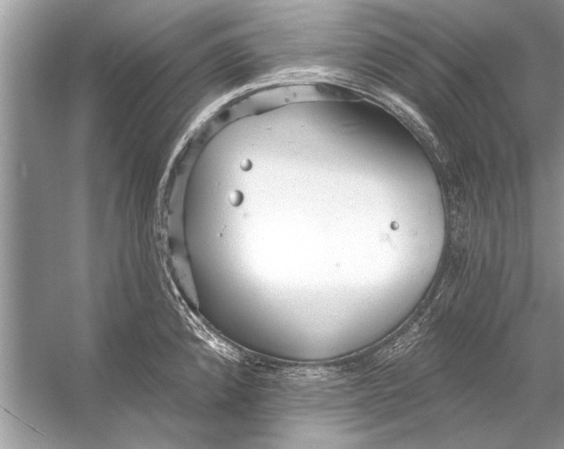 X0000055991192200509162243