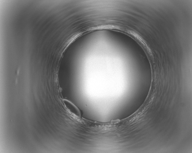 X0000055991193200509162243