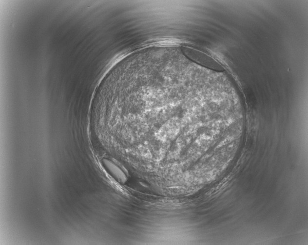 X0000055991194200509162243