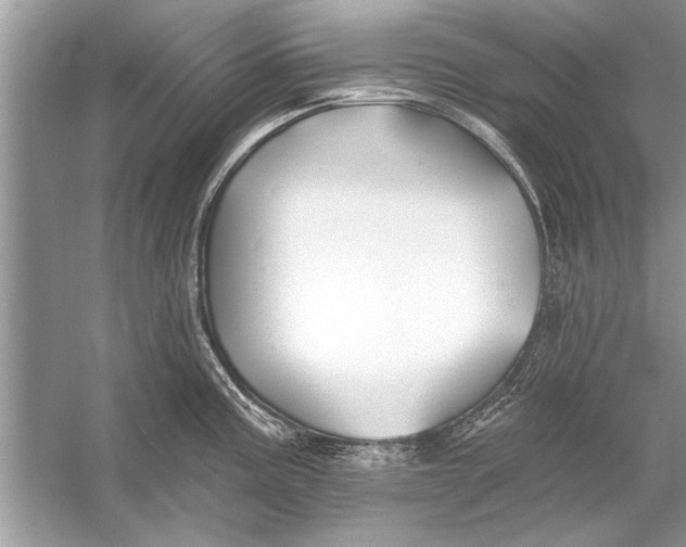 X0000055991195200509162243