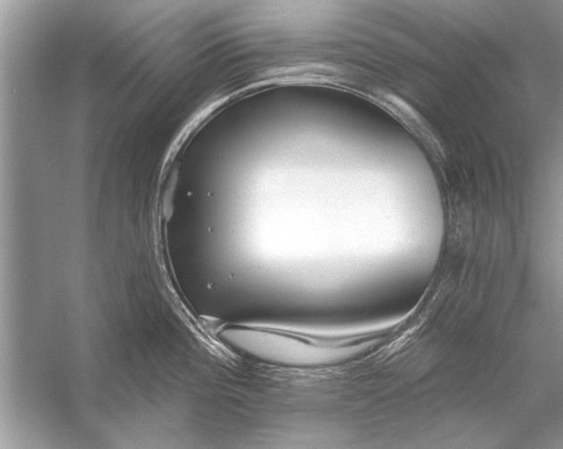 X0000055991196200509162243