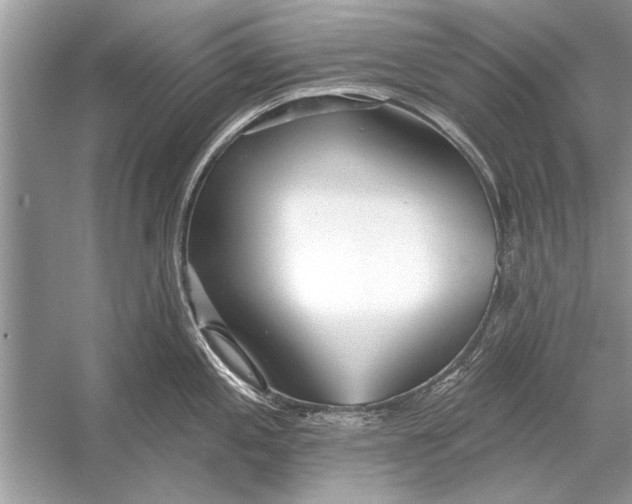 X0000055991197200509162243