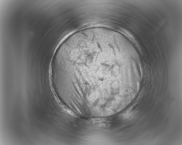 X0000055991198200509162243