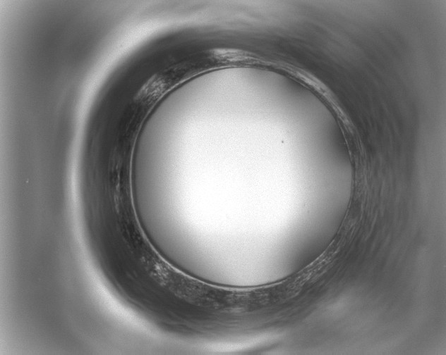 X0000055991199200509162243