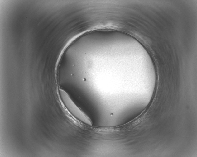 X0000055991200200509162243