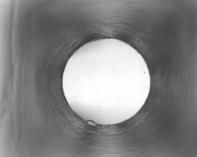 X0000055991201200509162242