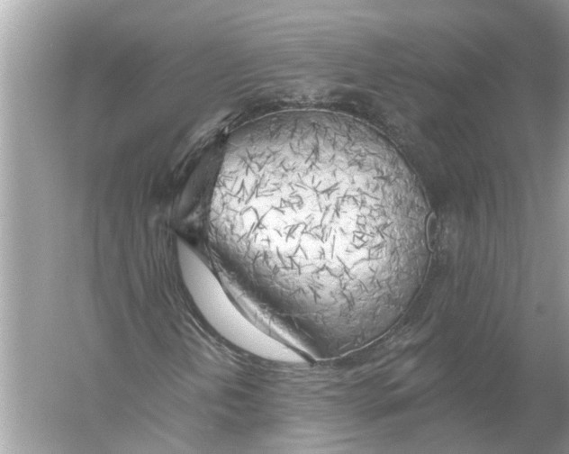 X0000055991202200509162242