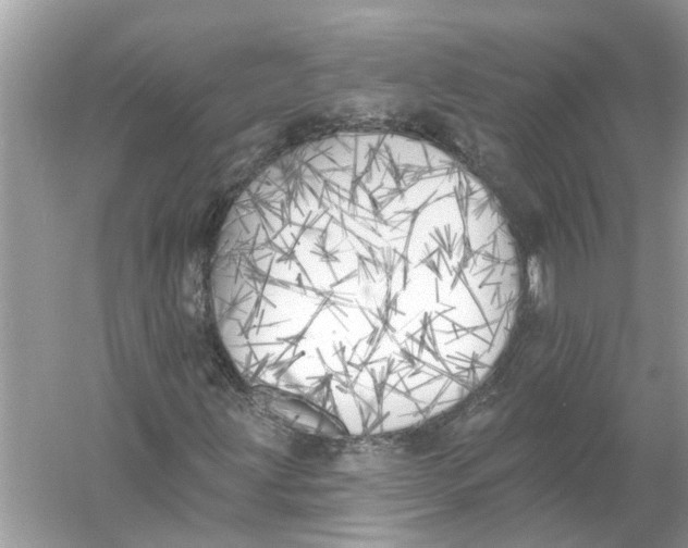 X0000055991203200509162242