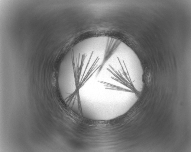 X0000055991204200509162242