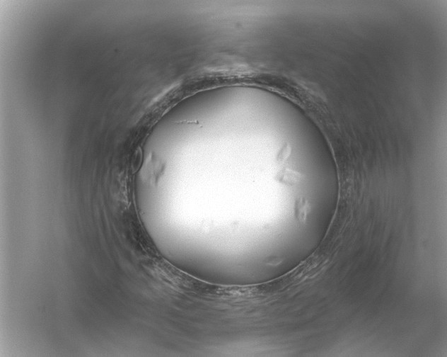 X0000055991205200509162242