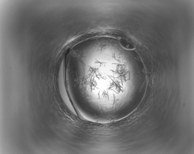 X0000055991206200509162242