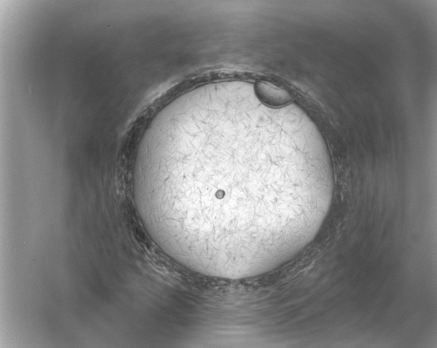 X0000055991207200509162242