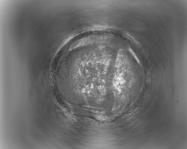 X0000055991208200509162242