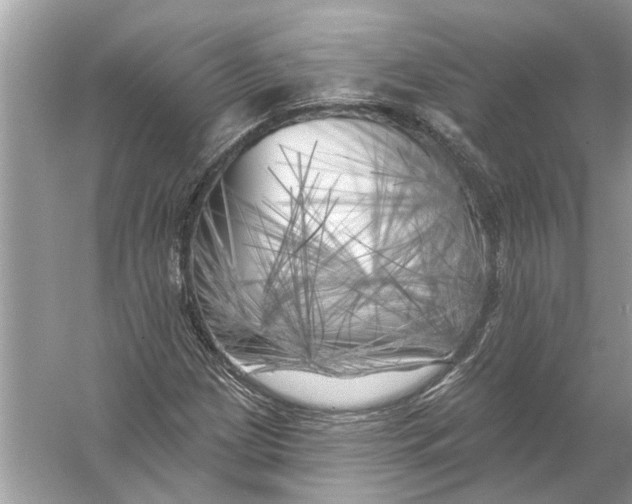 X0000055991209200509162242