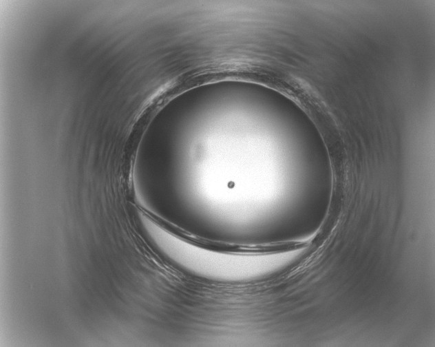 X0000055991210200509162243