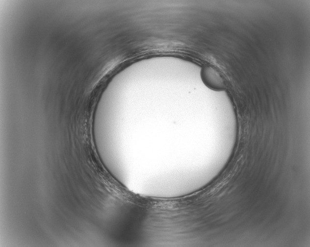 X0000055991211200509162243