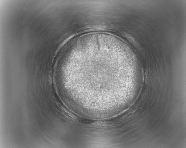 X0000055991212200509162243