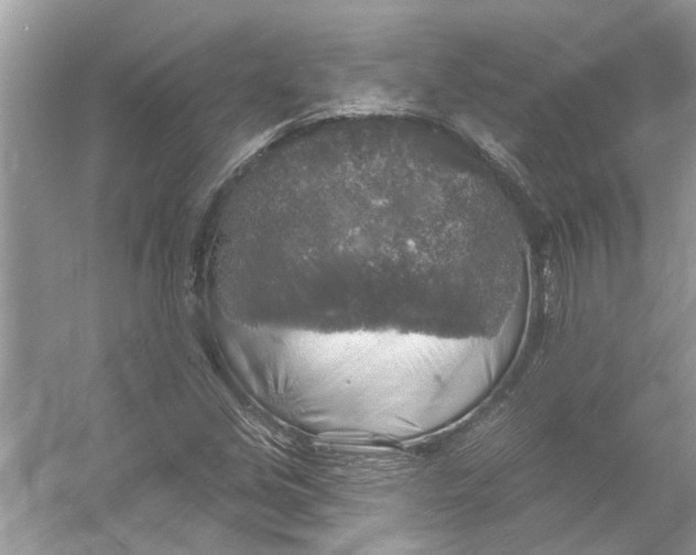 X0000055991213200509162243