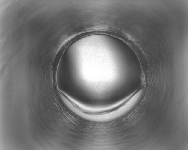 X0000055991214200509162243