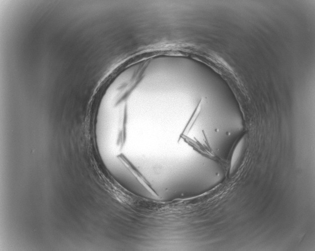 X0000055991216200509162243