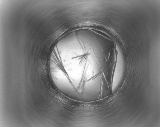 X0000055991217200509162243