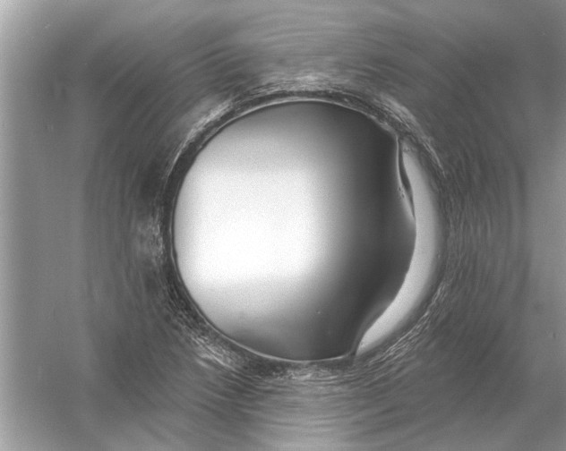 X0000055991218200509162243