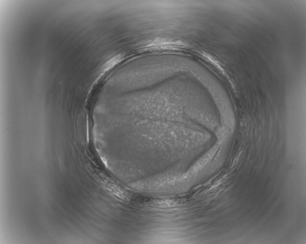 X0000055991219200509162243