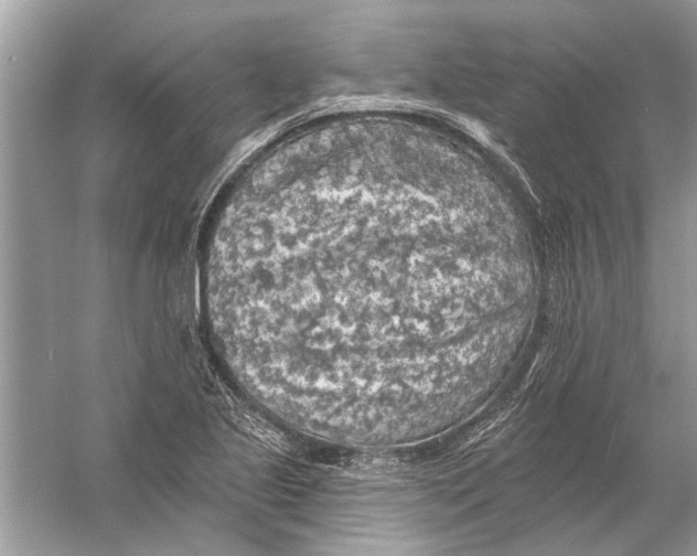 X0000055991221200509162243