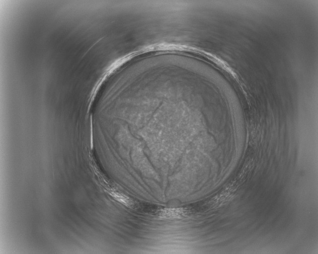 X0000055991223200509162243